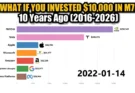 10년 전 M7에 1만 달러를 투자했다면? (2016-2026)